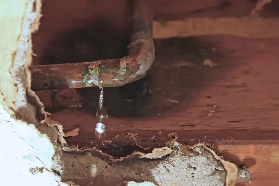 Leaking copper supply pipe dripping inside an opened wall
