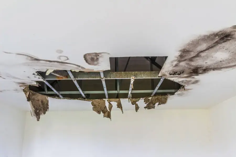 Water-stained ceiling drywall cut open around a leak in a Leander home