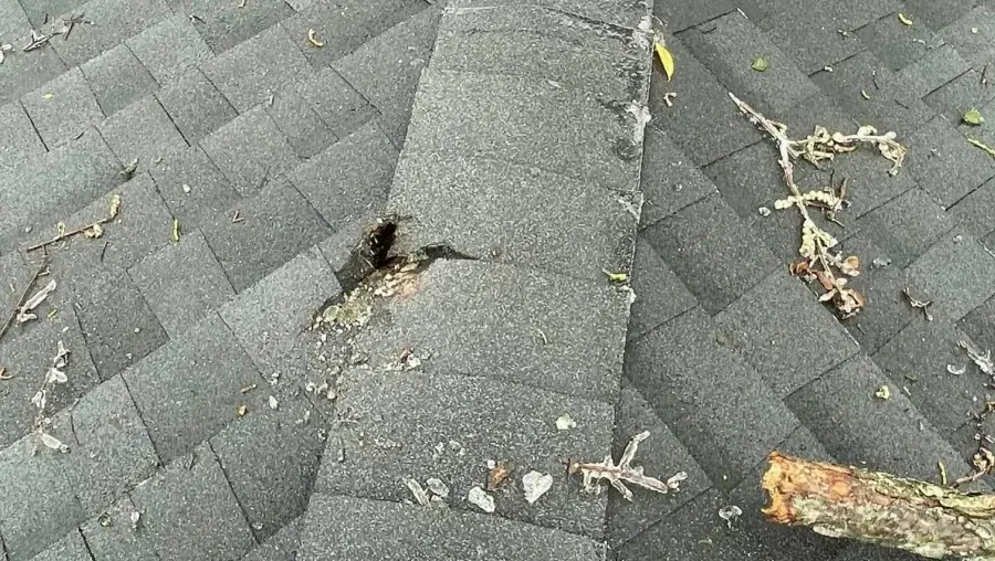 Storm-punctured ridge shingles with hail on a Central Texas roof